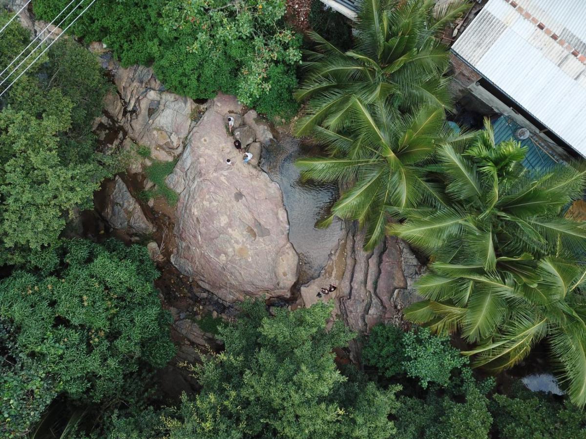 River Forest Nest Ела Екстериор снимка
